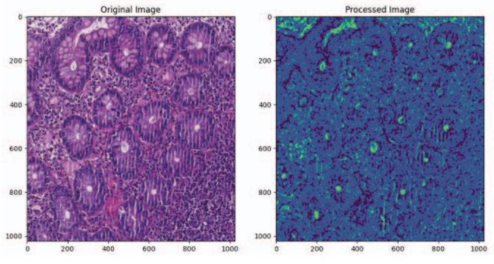 Few-shot multi-label medical image classification outcome figure